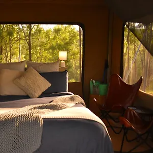 https://ketchups-bank-glamping.queenslandhotels.net
