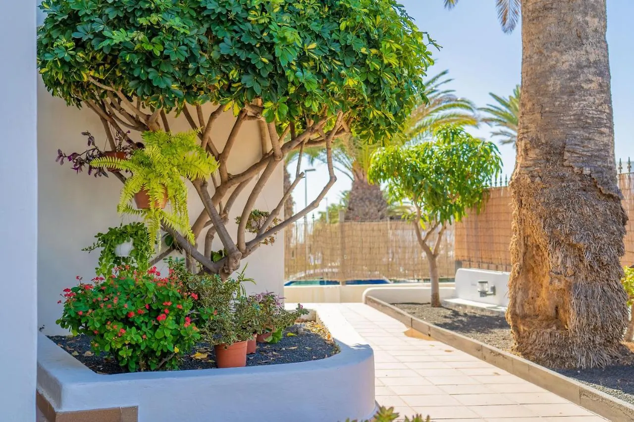 Apartamentos Isla De Lobos - Adults Only Puerto del Carmen  Apartment